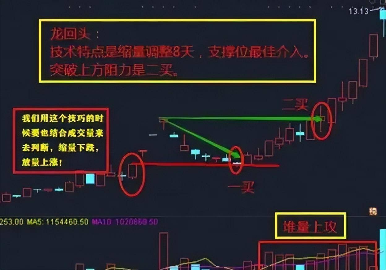 如果想要实现炒股养家本文将是你的垫脚石献给还在亏损的散户