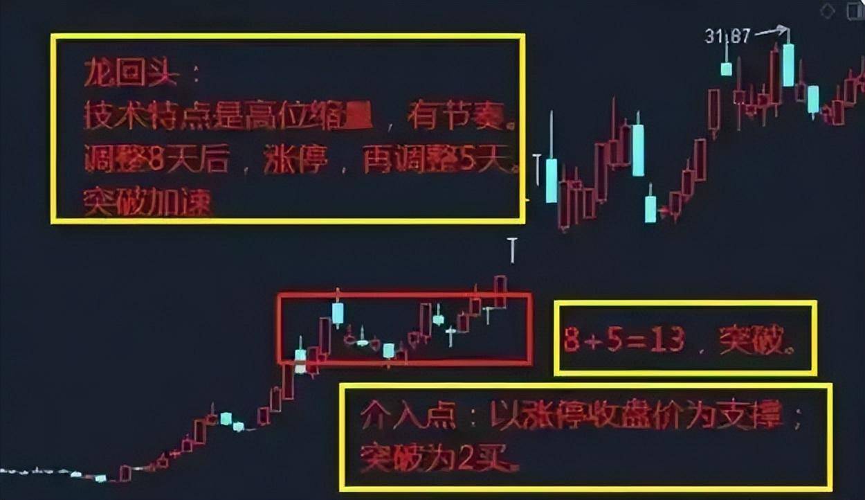 如果想要实现炒股养家本文将是你的垫脚石献给还在亏损的散户