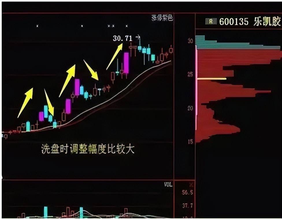 从血亏小散到顶级交易员看懂庄家是如何操盘的？