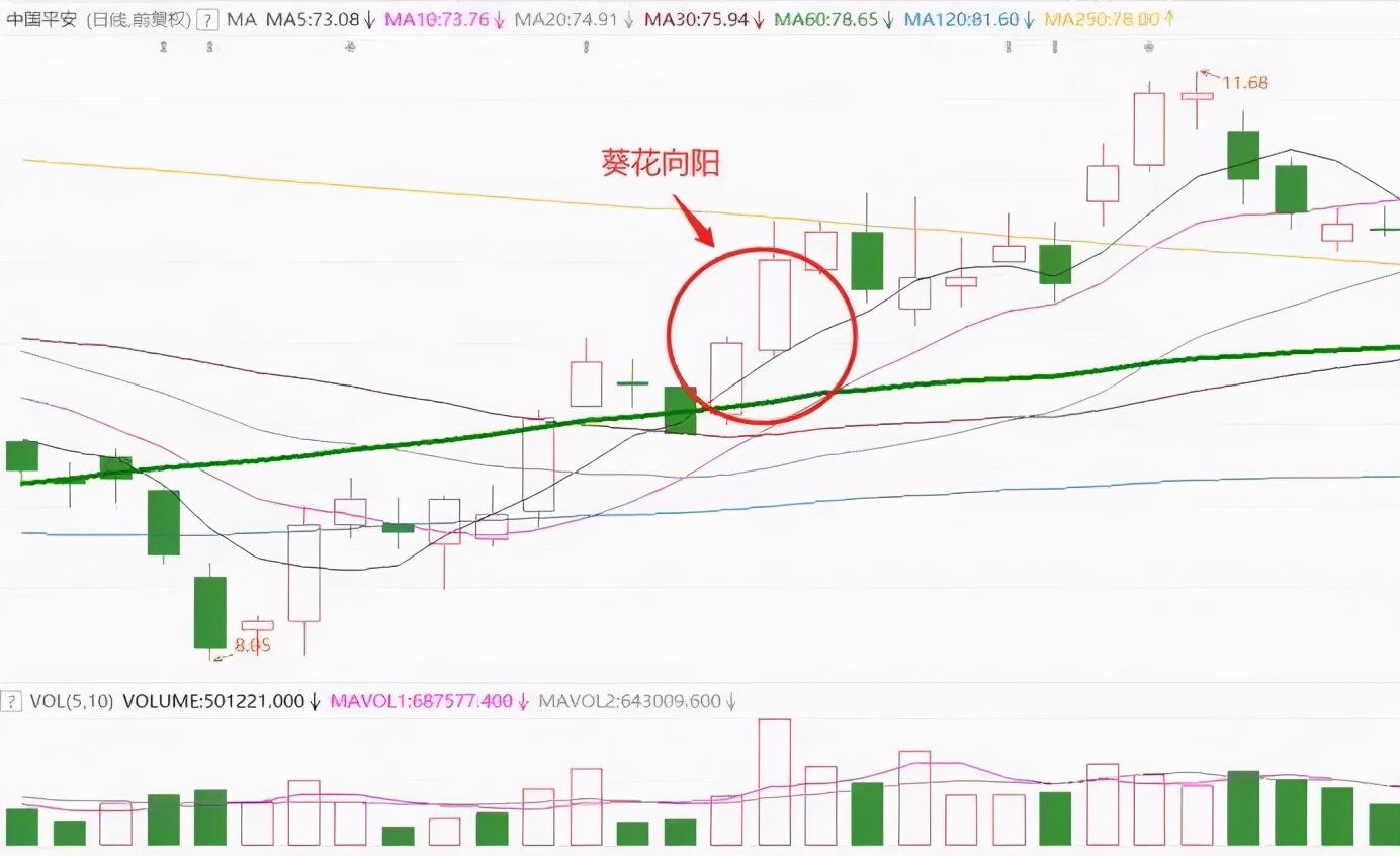 通达信个股技术分析三