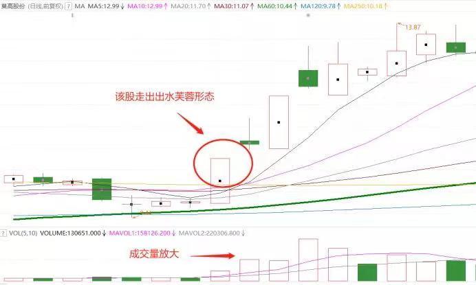 通达信个股技术分析三