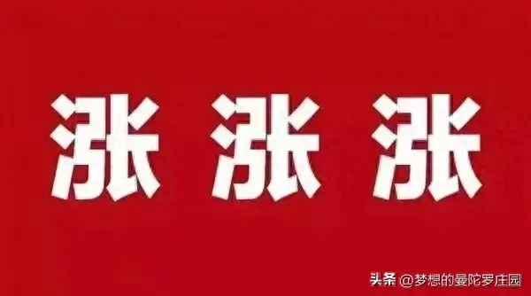 这轮牛市10000点不是梦！干就完了政策的转向牛市已经到来！