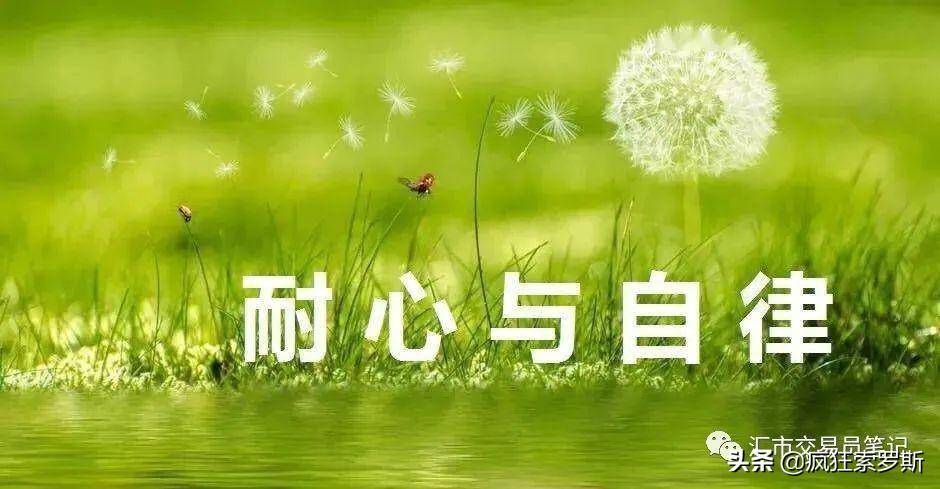 交易纪律的形成