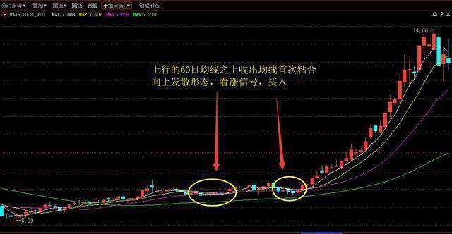 北大一女博士说破股市价值匪浅的10日均线理论建议散户收藏!