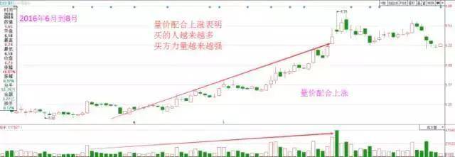 一个散户的交易修为之路这才是大道至简迷茫时就打开看看
