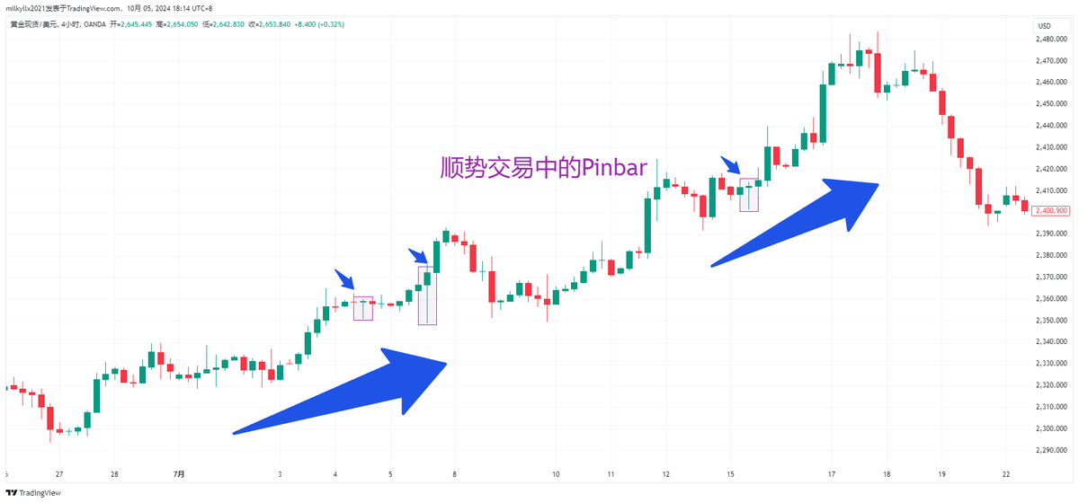 如何像专业人士一样交易Pinbar蜡烛图形态