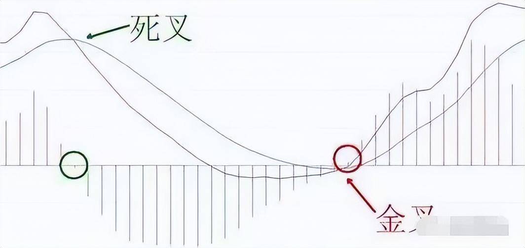 散户如何实现低买高卖?MACD金叉也许你还不知道