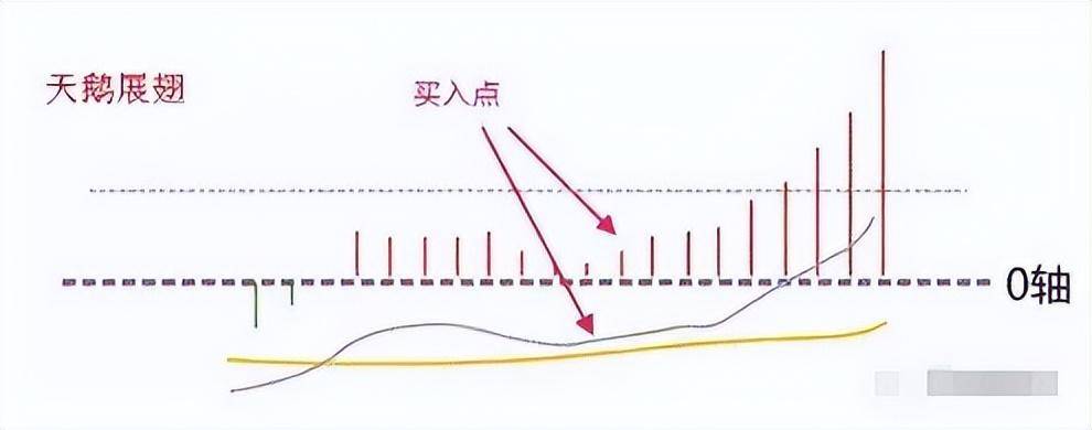 散户如何实现低买高卖?MACD金叉也许你还不知道