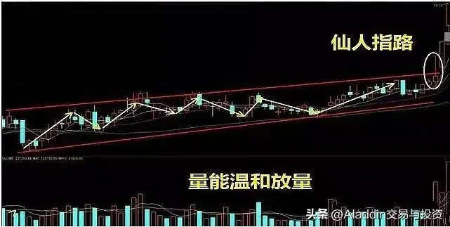 仙人指路涨停战法