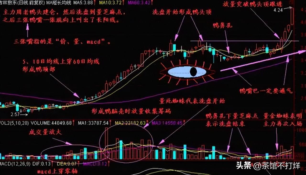 为什么富人越玩越富穷人越炒越穷?请牢记犹太人的炒股神思维!