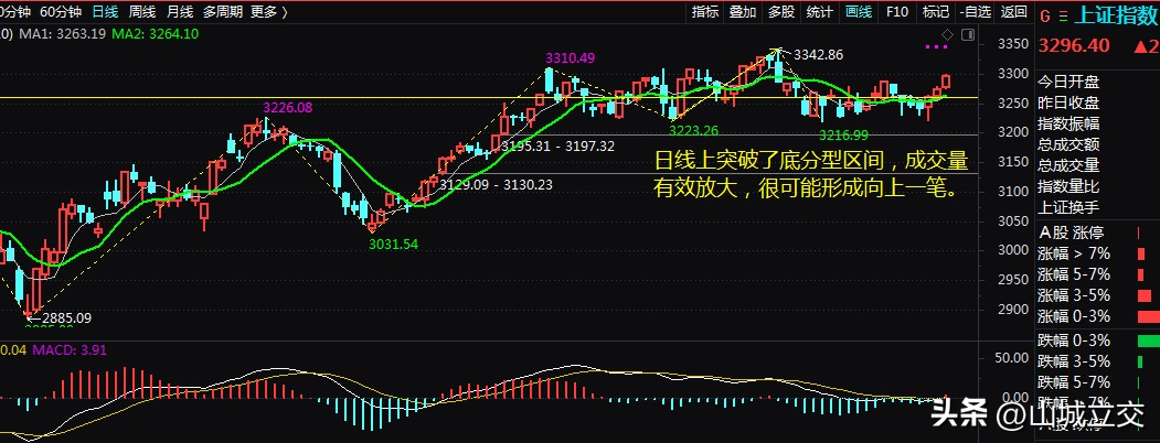 分型的相关概念