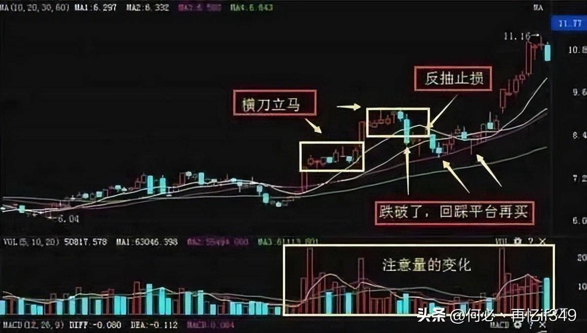 一位北京炒股大赛冠军箴言能从股市赚钱的只有一种人相当深刻