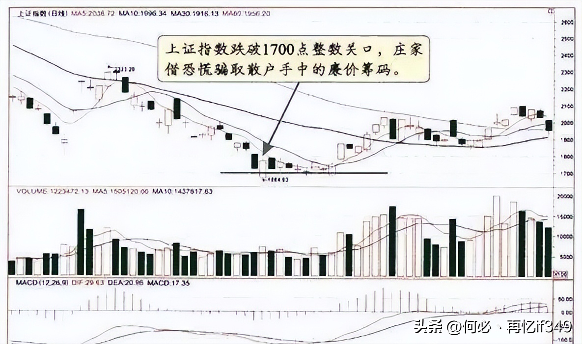 中国股市机构买入股票后多久才能卖出？多数股民都不懂速读！