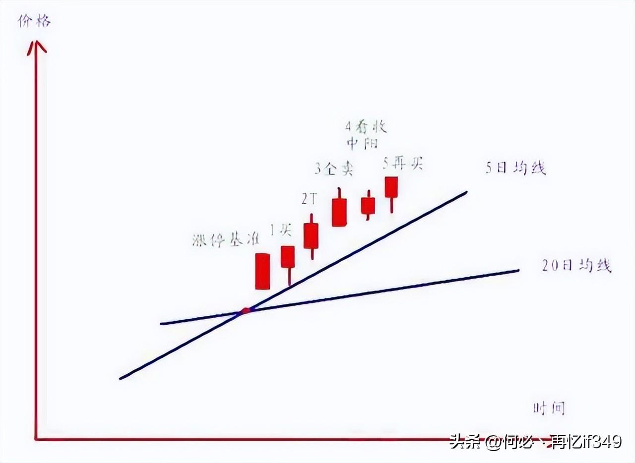 一位血亏百万股民血泪史我用一只母鸡就能把股市给你讲明白了