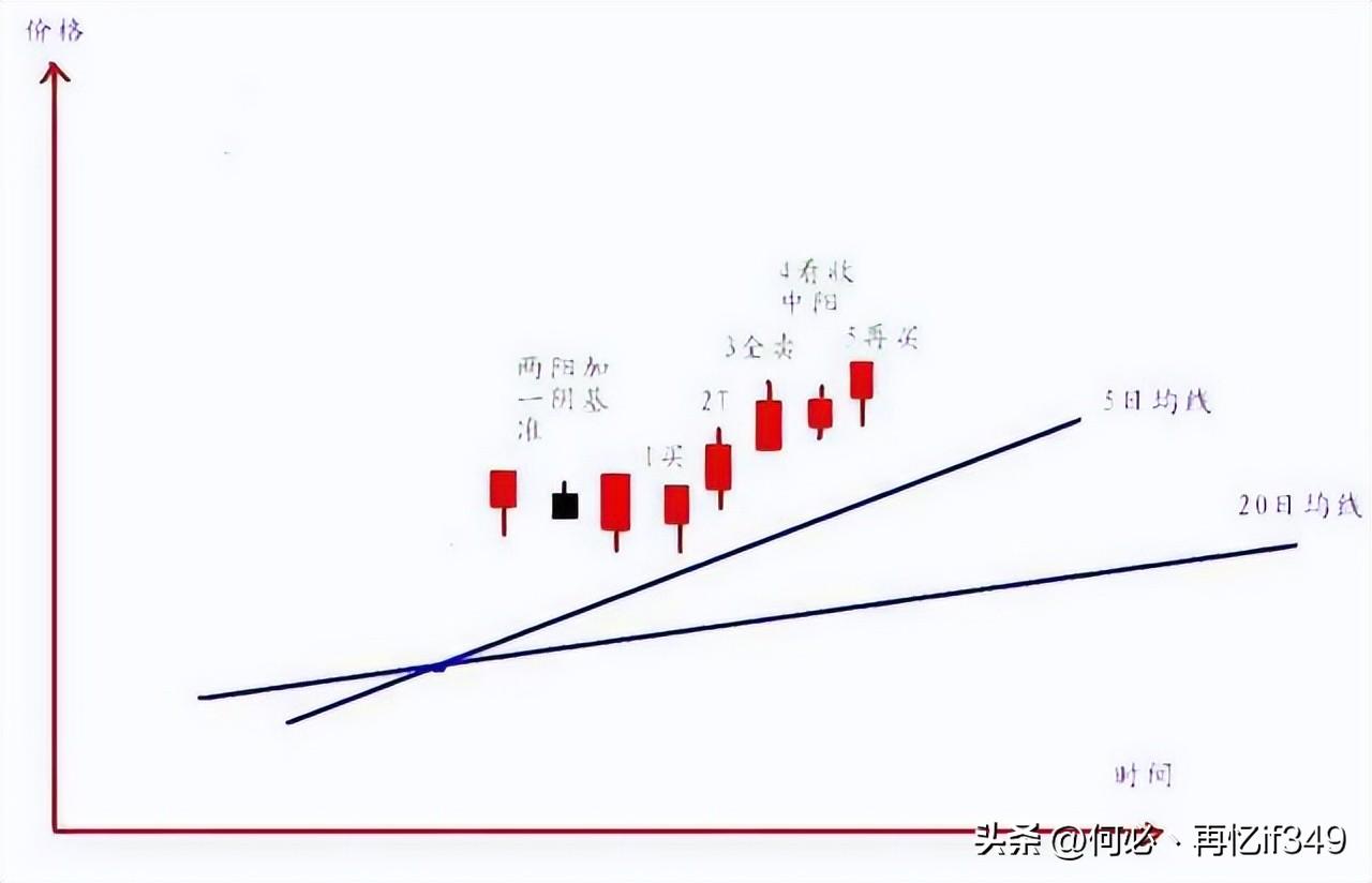 一位血亏百万股民血泪史我用一只母鸡就能把股市给你讲明白了