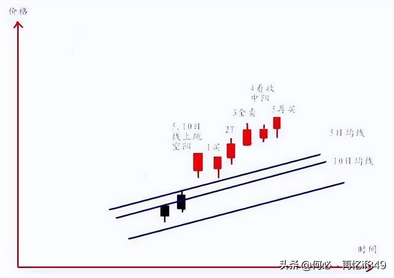 一位血亏百万股民血泪史我用一只母鸡就能把股市给你讲明白了
