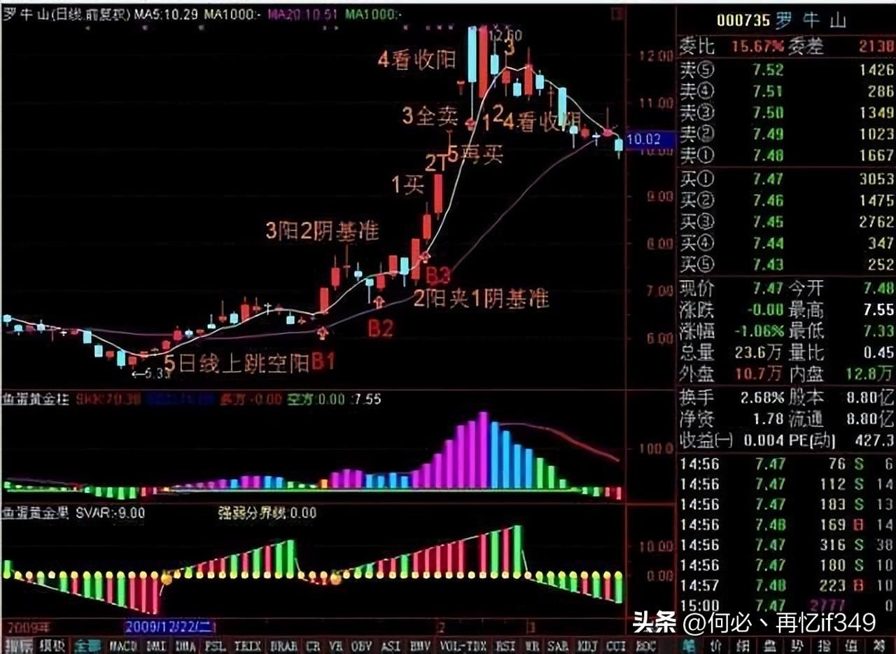 一位血亏百万股民血泪史我用一只母鸡就能把股市给你讲明白了