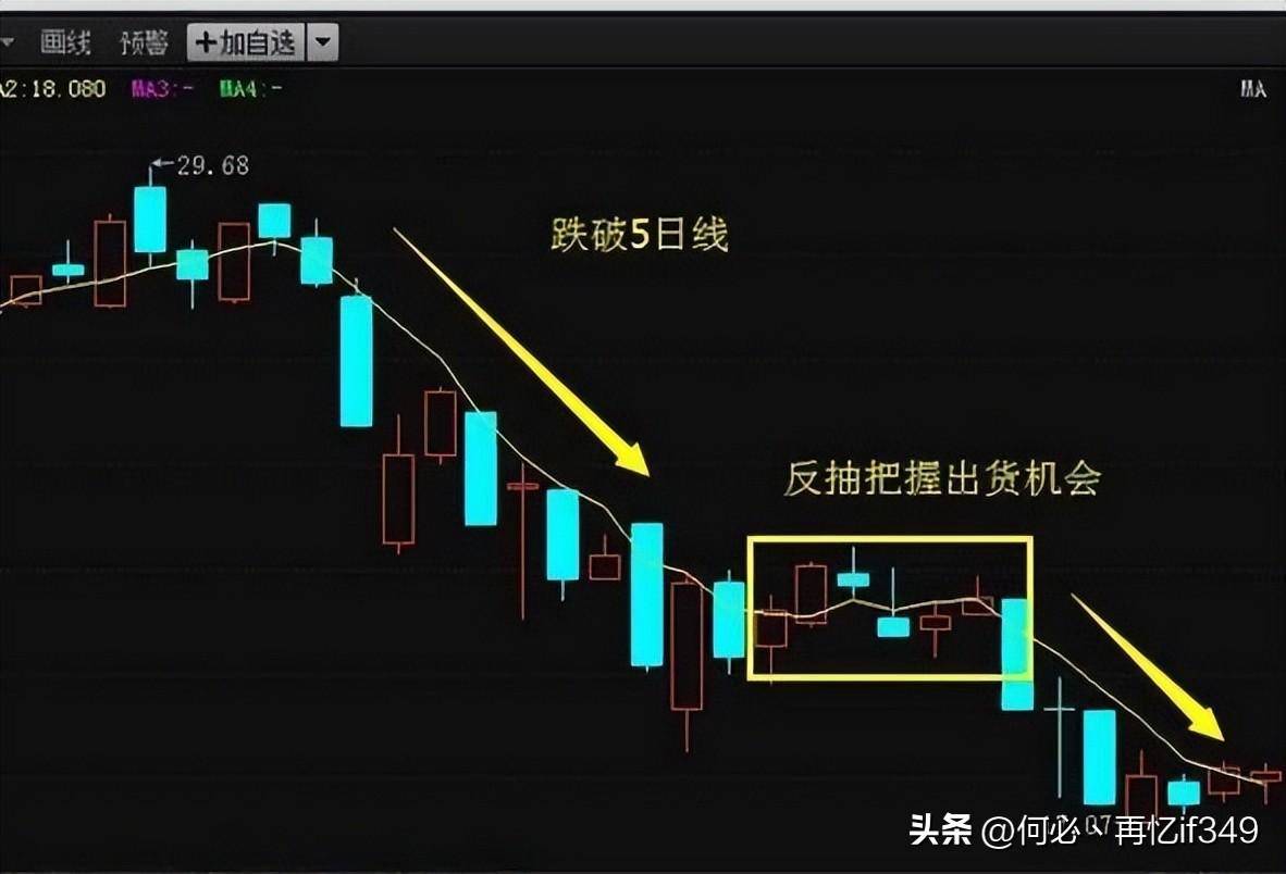 一上海女博士说破股市投资其实很简单只是没有人愿意慢慢变富