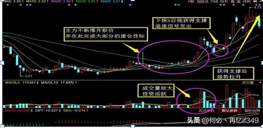 一上海女博士说破股市投资其实很简单只是没有人愿意慢慢变富