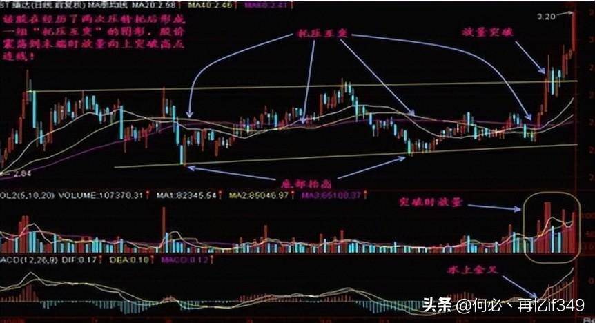 一上海女博士说破股市投资其实很简单只是没有人愿意慢慢变富