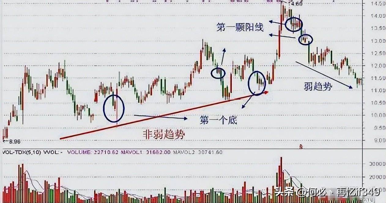 一上海女博士说破股市投资其实很简单只是没有人愿意慢慢变富