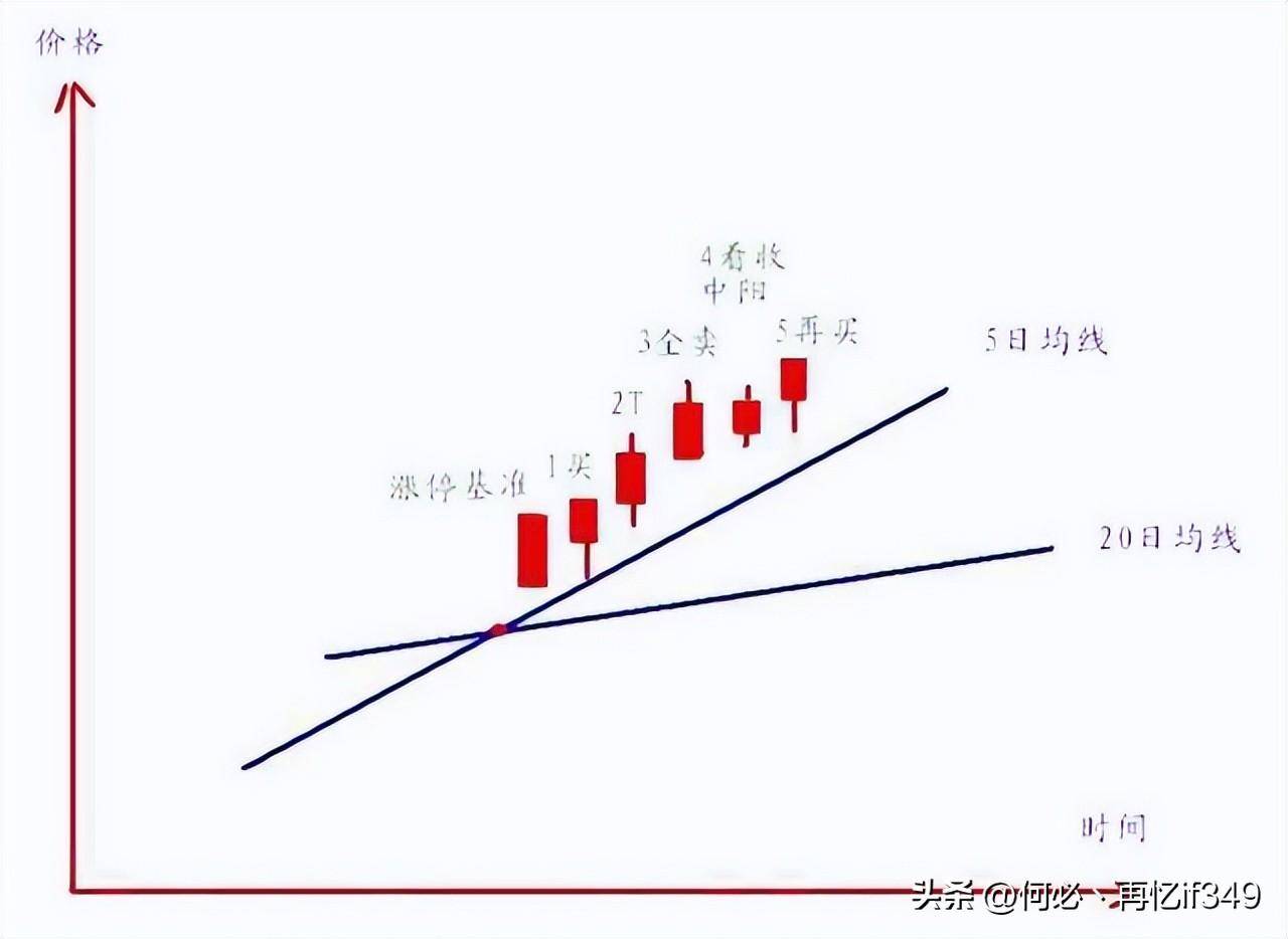 一位血亏百万股民血泪史我用一只母鸡就能把股市给你讲明白了