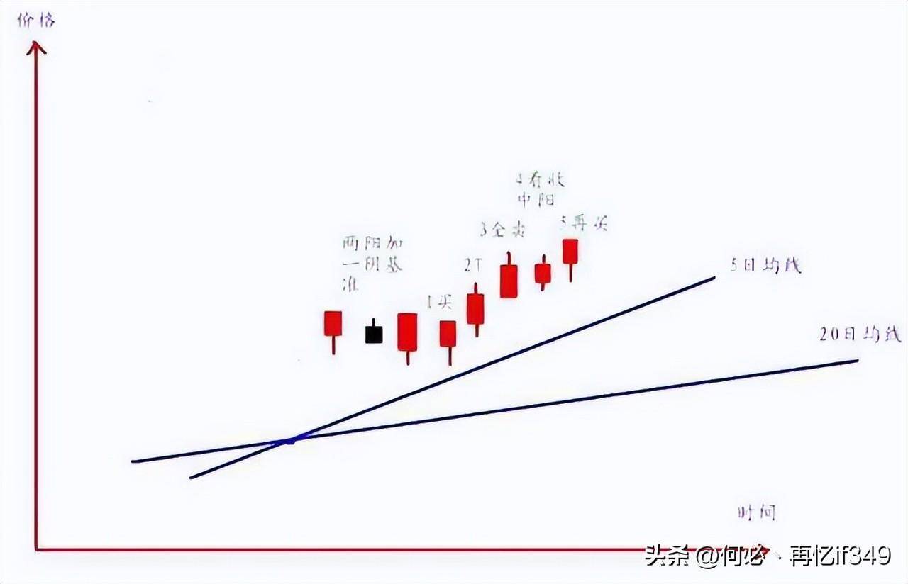 一位血亏百万股民血泪史我用一只母鸡就能把股市给你讲明白了