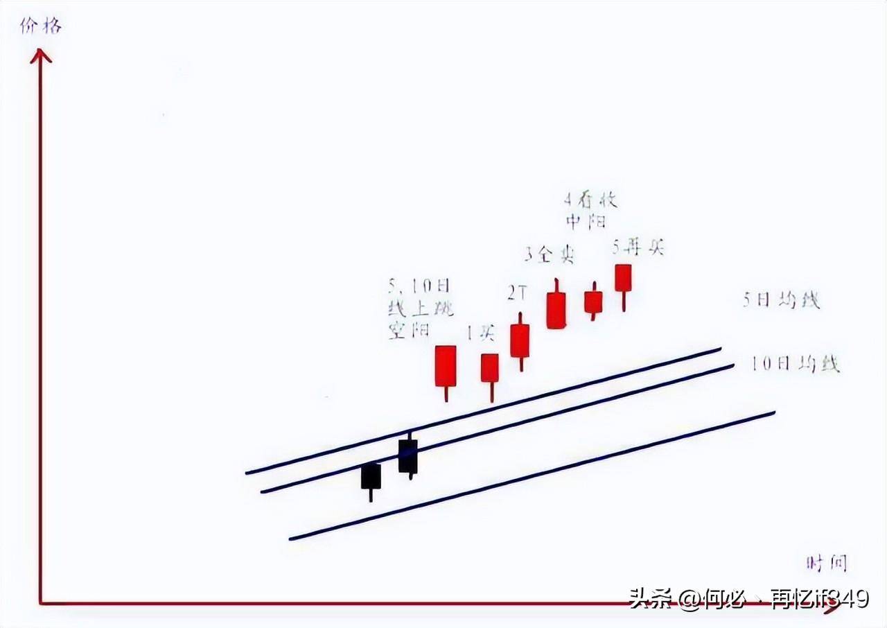 一位血亏百万股民血泪史我用一只母鸡就能把股市给你讲明白了
