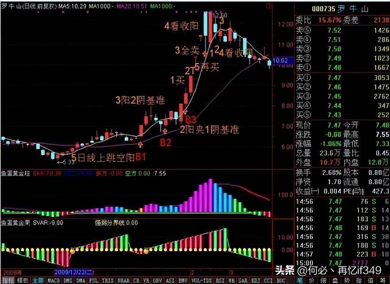 一位血亏百万股民血泪史我用一只母鸡就能把股市给你讲明白了