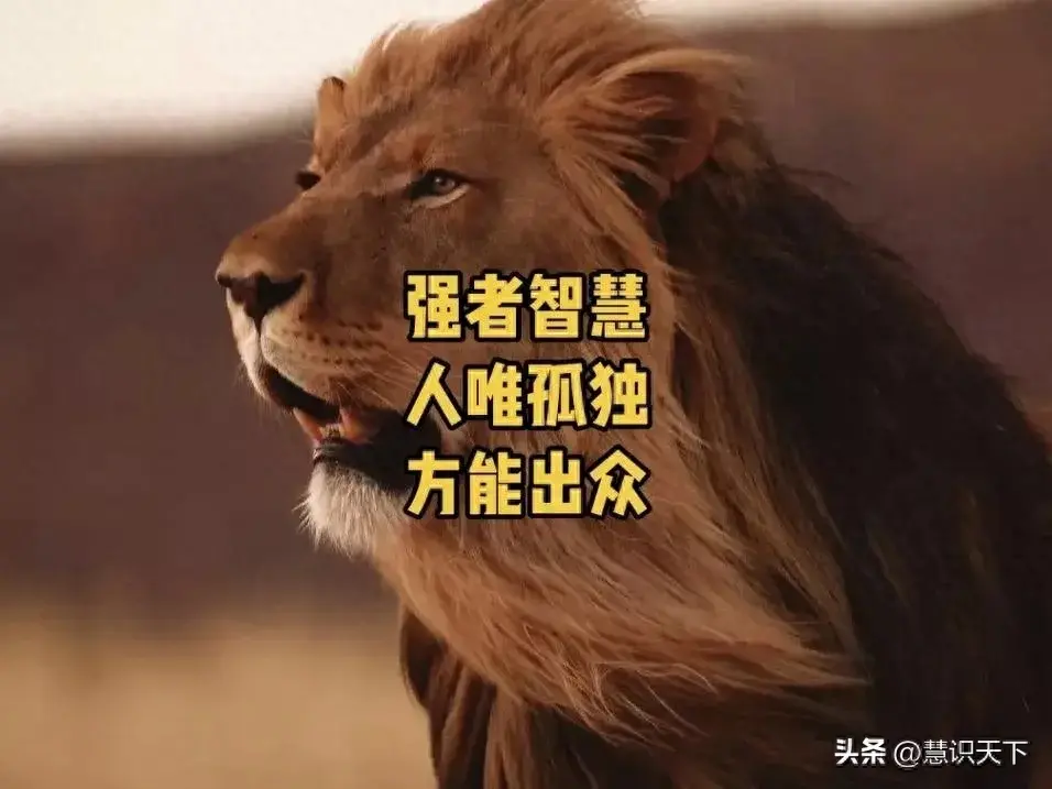 顶级思维炒股周期论