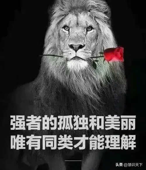 顶级思维炒股周期论