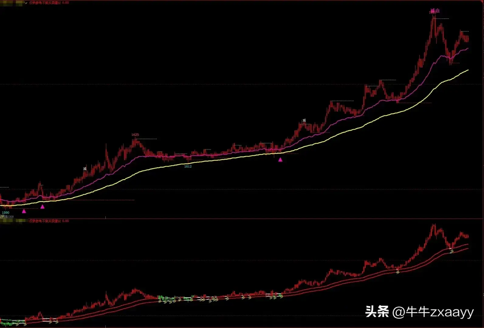 交易指标大全从入门到精通的必备指南