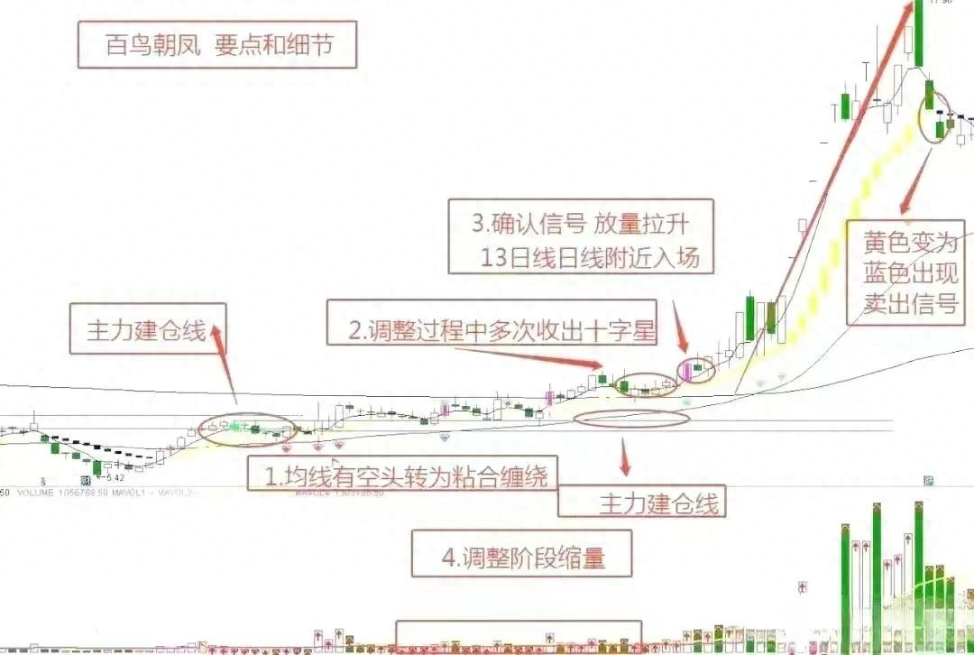 百鸟朝凤主力建仓离场的交易要点和细节