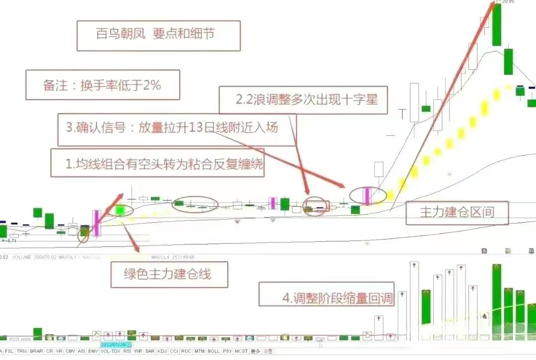 百鸟朝凤主力建仓离场的交易要点和细节
