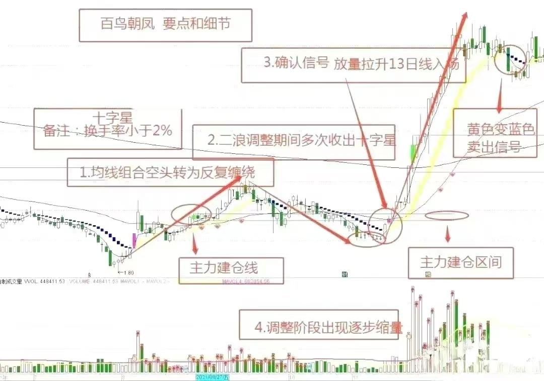 百鸟朝凤主力建仓离场的交易要点和细节