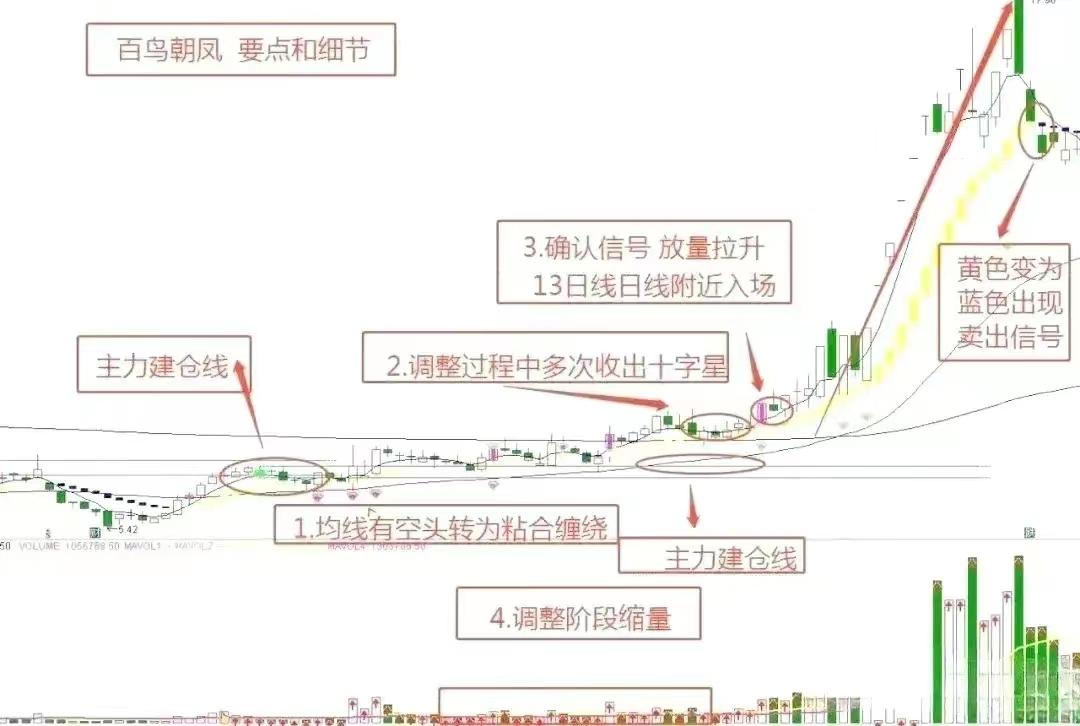 百鸟朝凤主力建仓离场的交易要点和细节