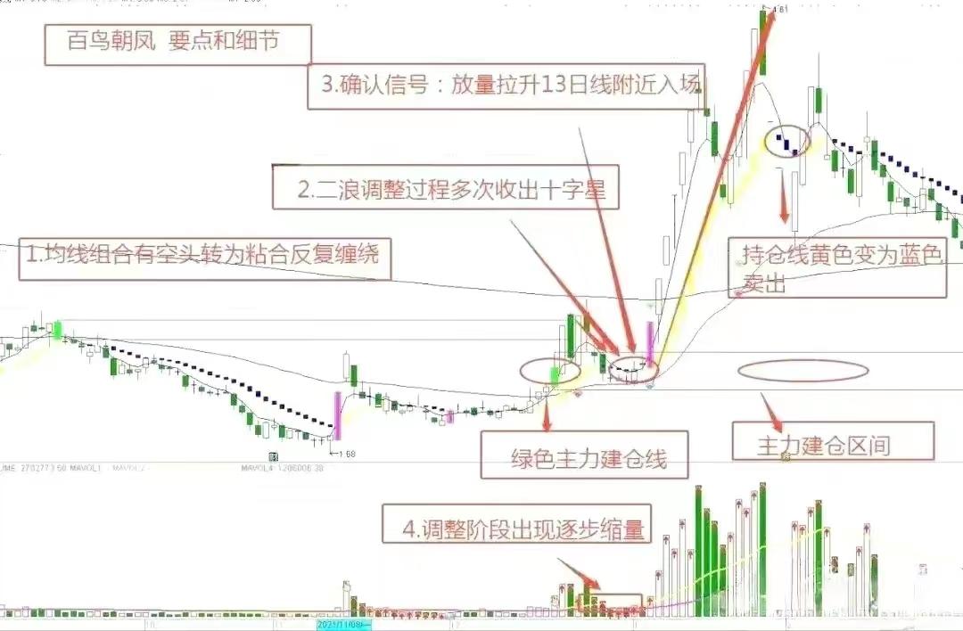 百鸟朝凤主力建仓离场的交易要点和细节