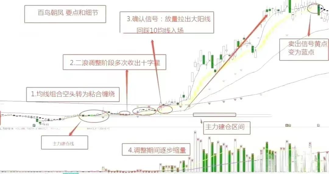 百鸟朝凤主力建仓离场的交易要点和细节