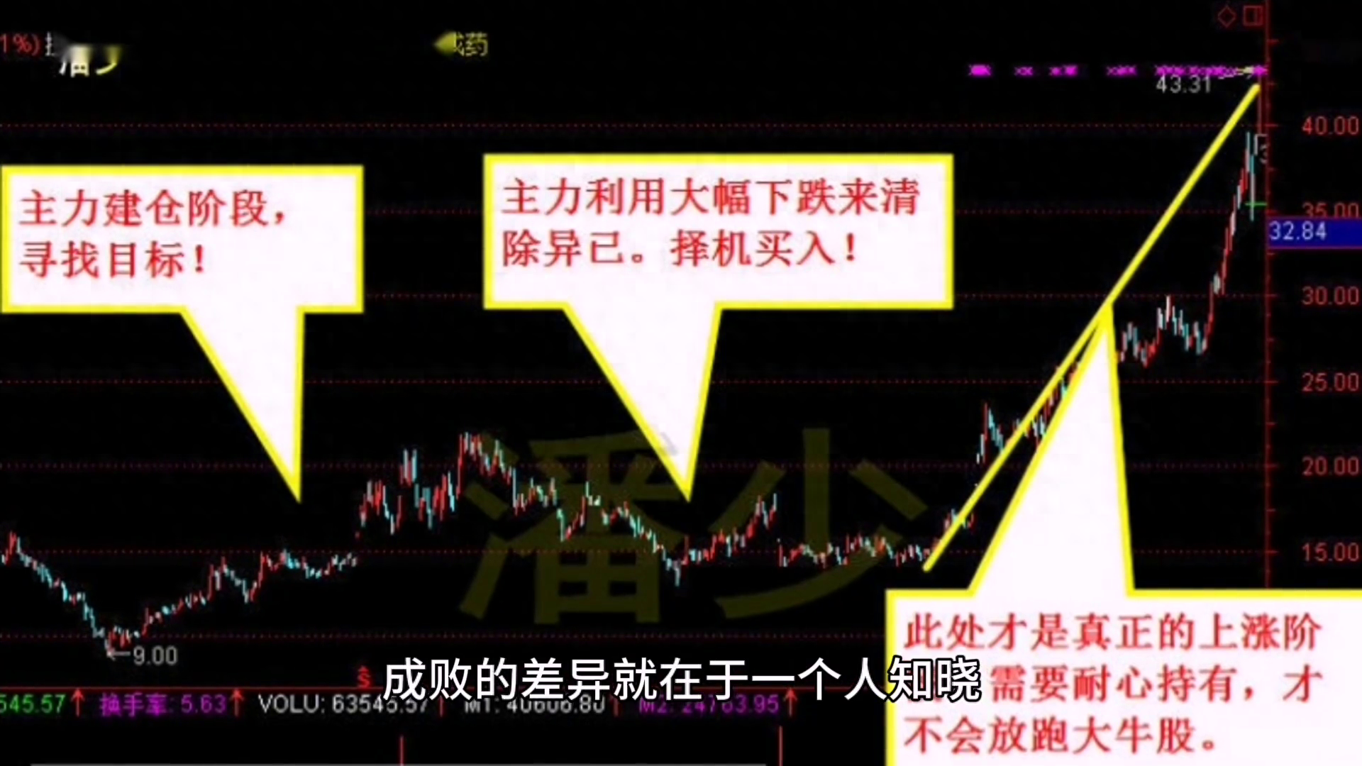 股票投资者