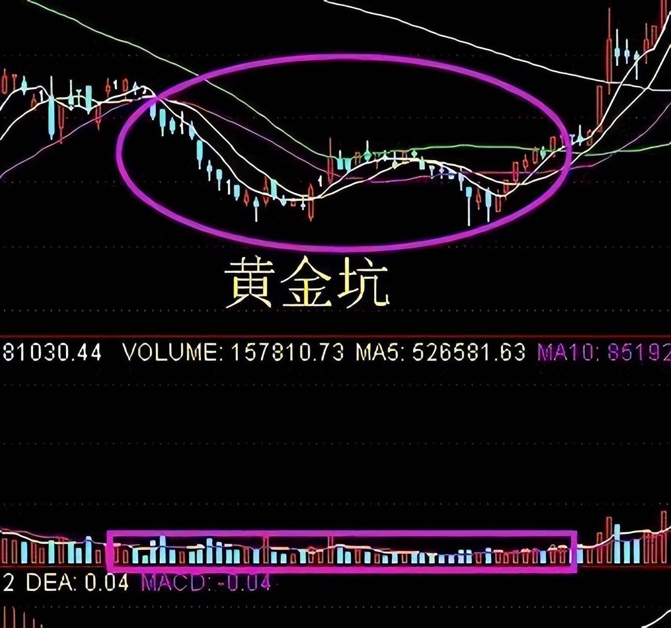 我造访各路高手时意外学的一招成交量实战技法从此稳定复利