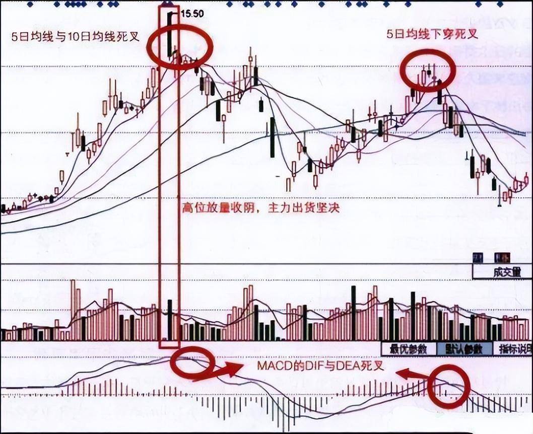 趋势MACD绝密战法!