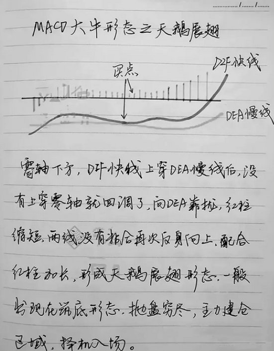 趋势MACD绝密战法!