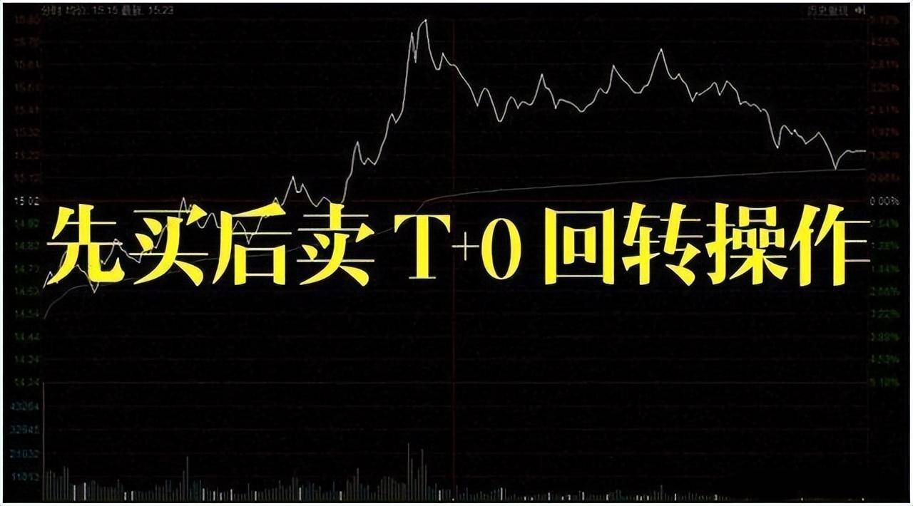 中国股市15年只靠一只股坚持每天做T5个技巧吃掉大部分利润