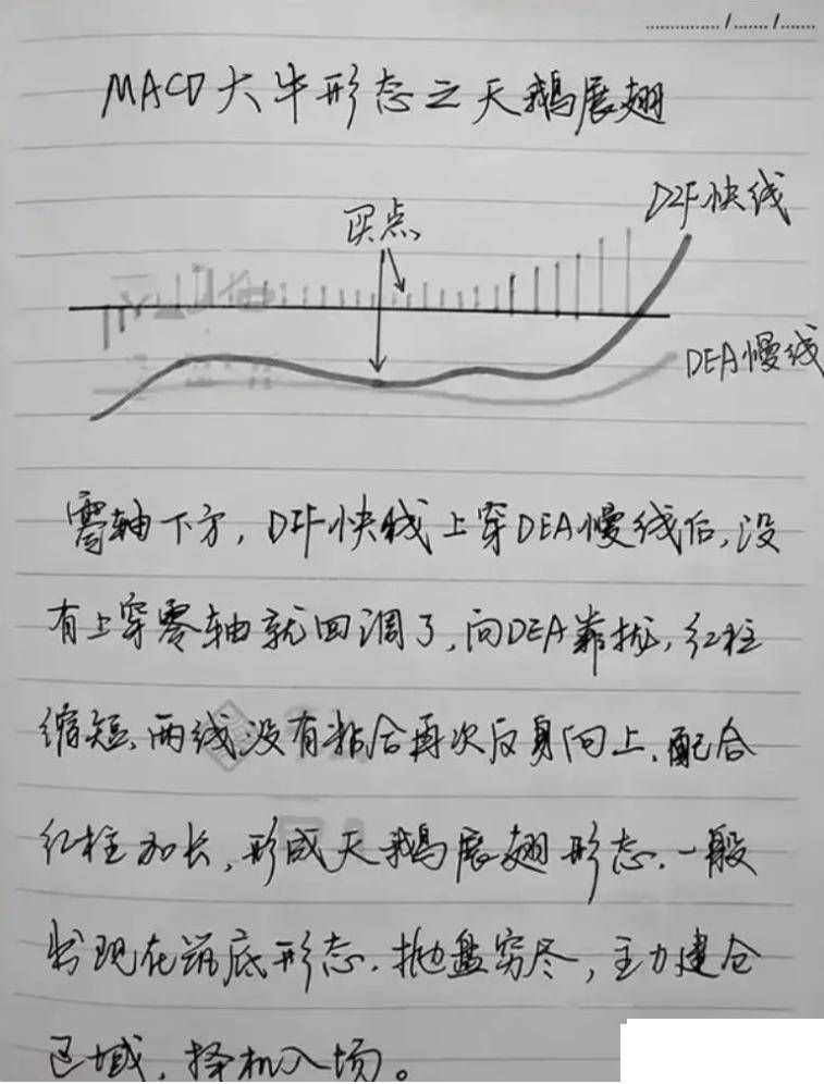永远的指标之王MACD领悟了你离高手就更进一步