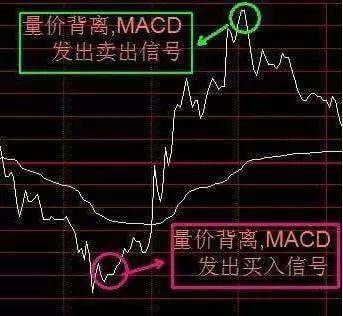 神奇的盘口语言67890牢牢记住你的就成功了一半！