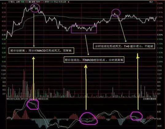 神奇的盘口语言67890牢牢记住你的就成功了一半！
