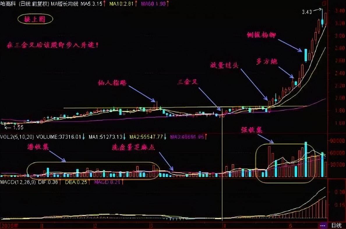 A股一支股票一直下跌意味着什么？惊醒原来钱是这样亏没的