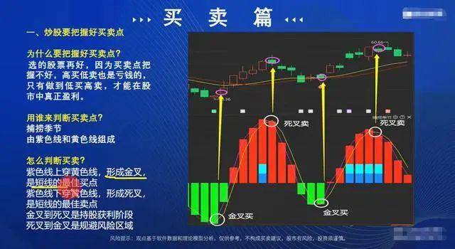 中国股市炒股的最高境界是反人性建议每天睡觉前看一遍