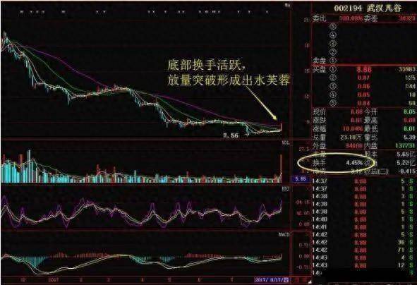 一位上海顶级牛散直言换手率大于10意味着什么？献给所有股民