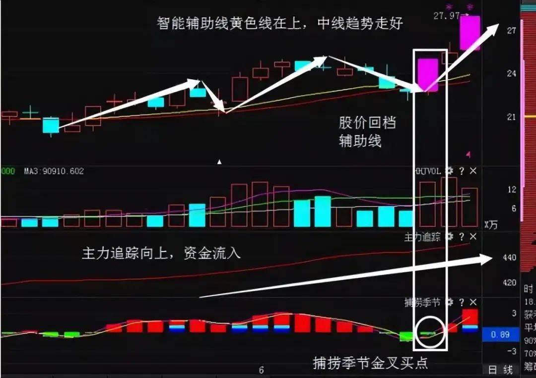 中国股市能永远赚钱的只有一种人送给新手股民说得太好了！